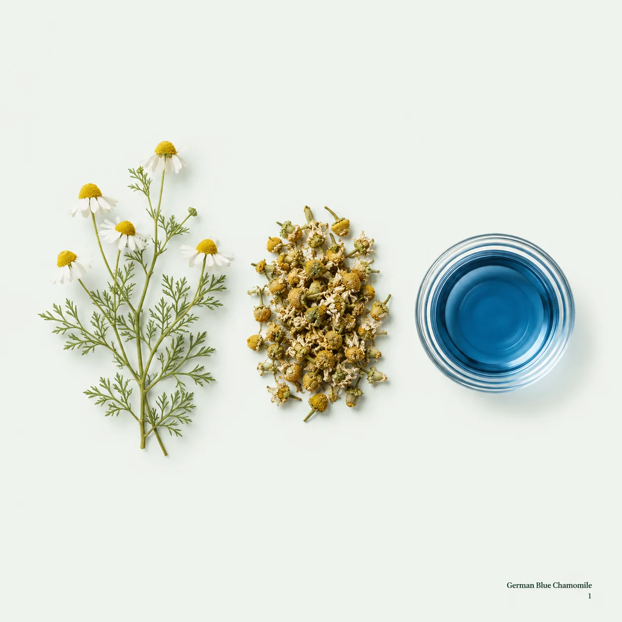 German Blue Chamomile — ingredient