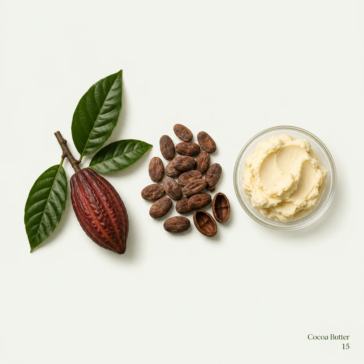 Cocoa Butter — ingredient