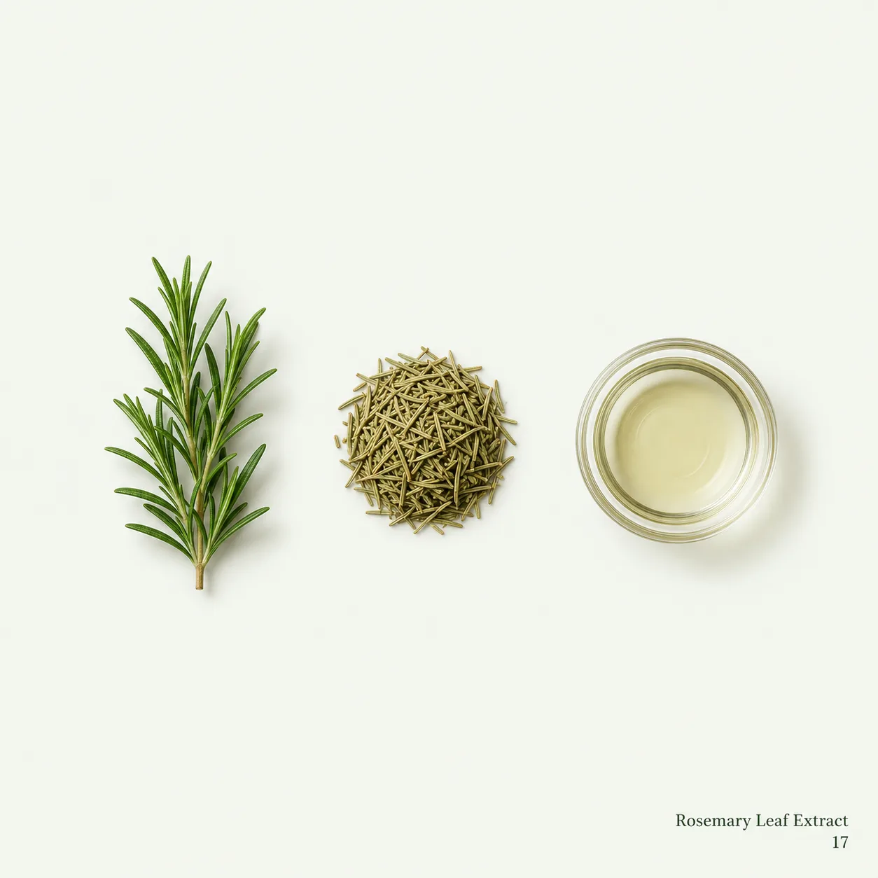 Rosemary Leaf Extract — ingredient