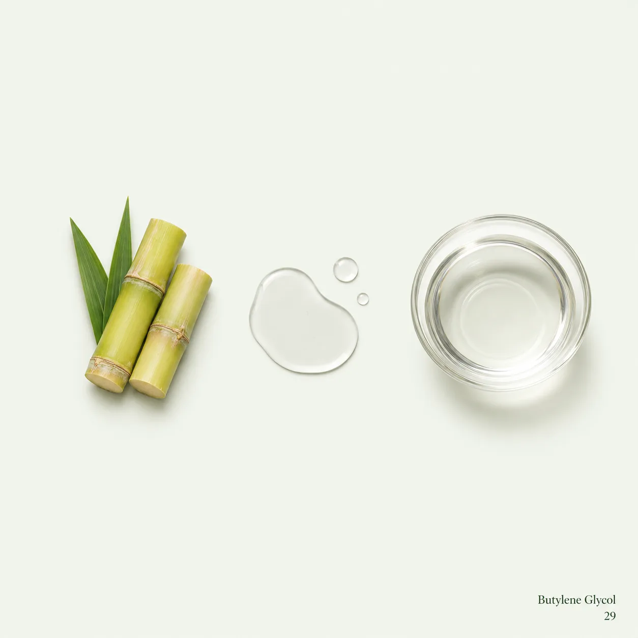 Butylene Glycol — botanical ingredient research