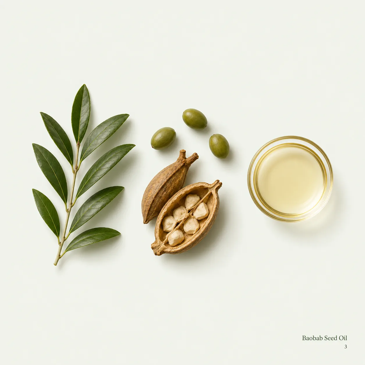 Baobab Seed Oil — ingredient