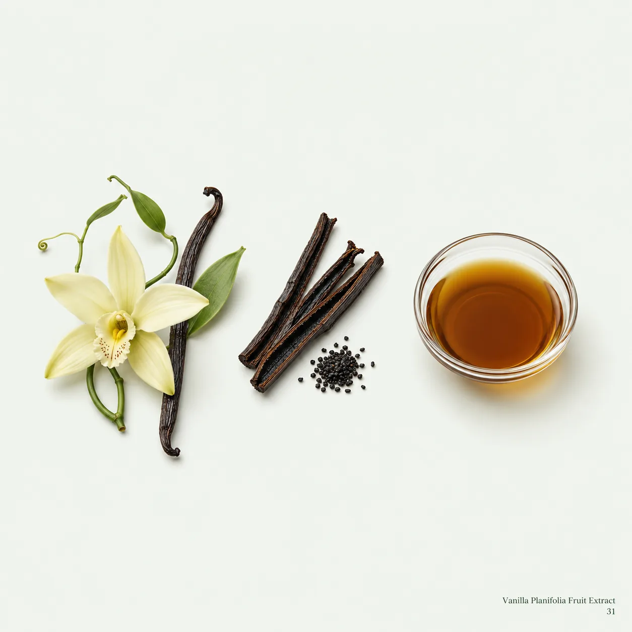 Vanilla Planifolia Fruit Extract — botanical ingredient research