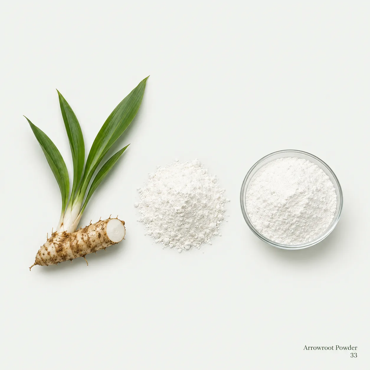 Arrowroot Powder — botanical ingredient research