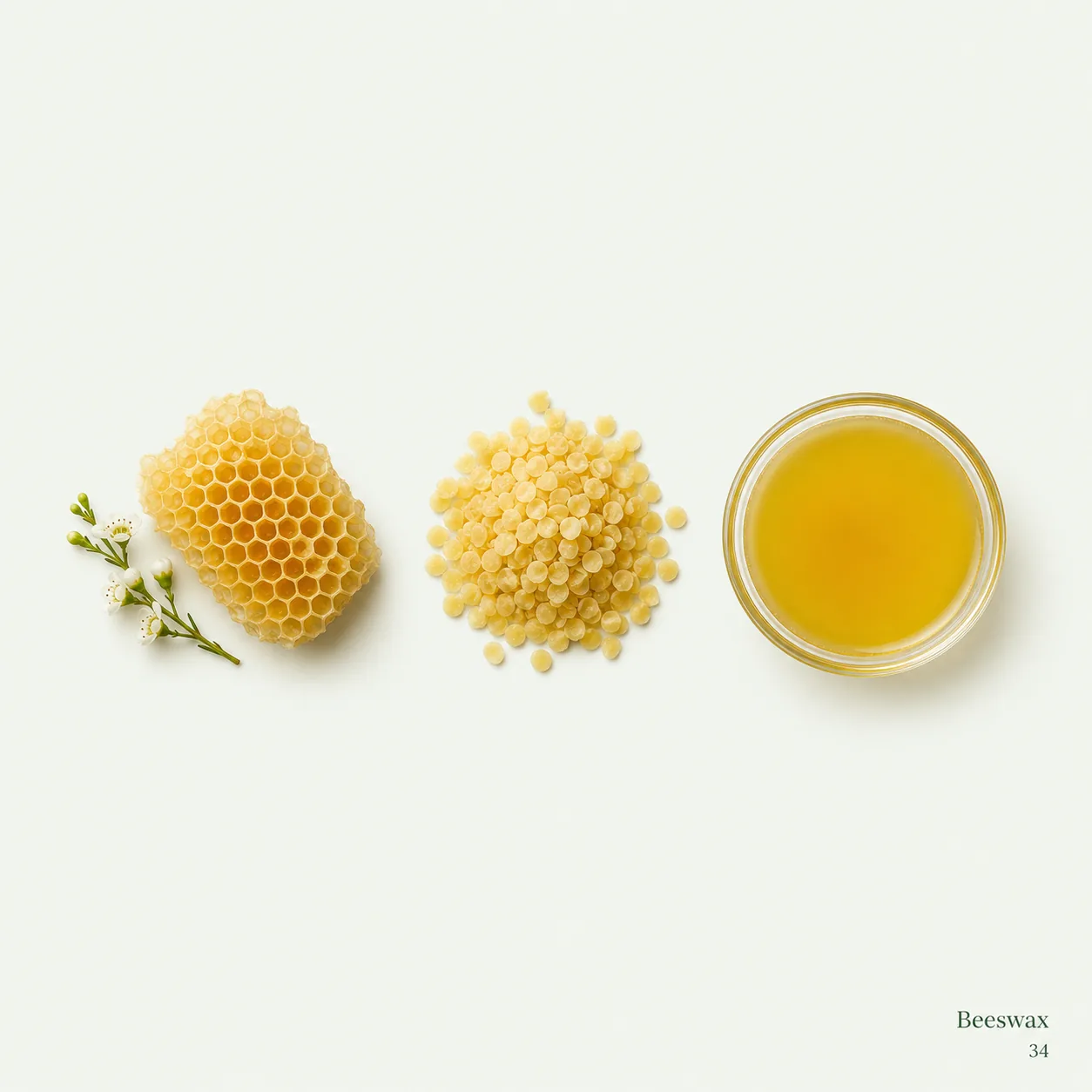 Beeswax — botanical ingredient research