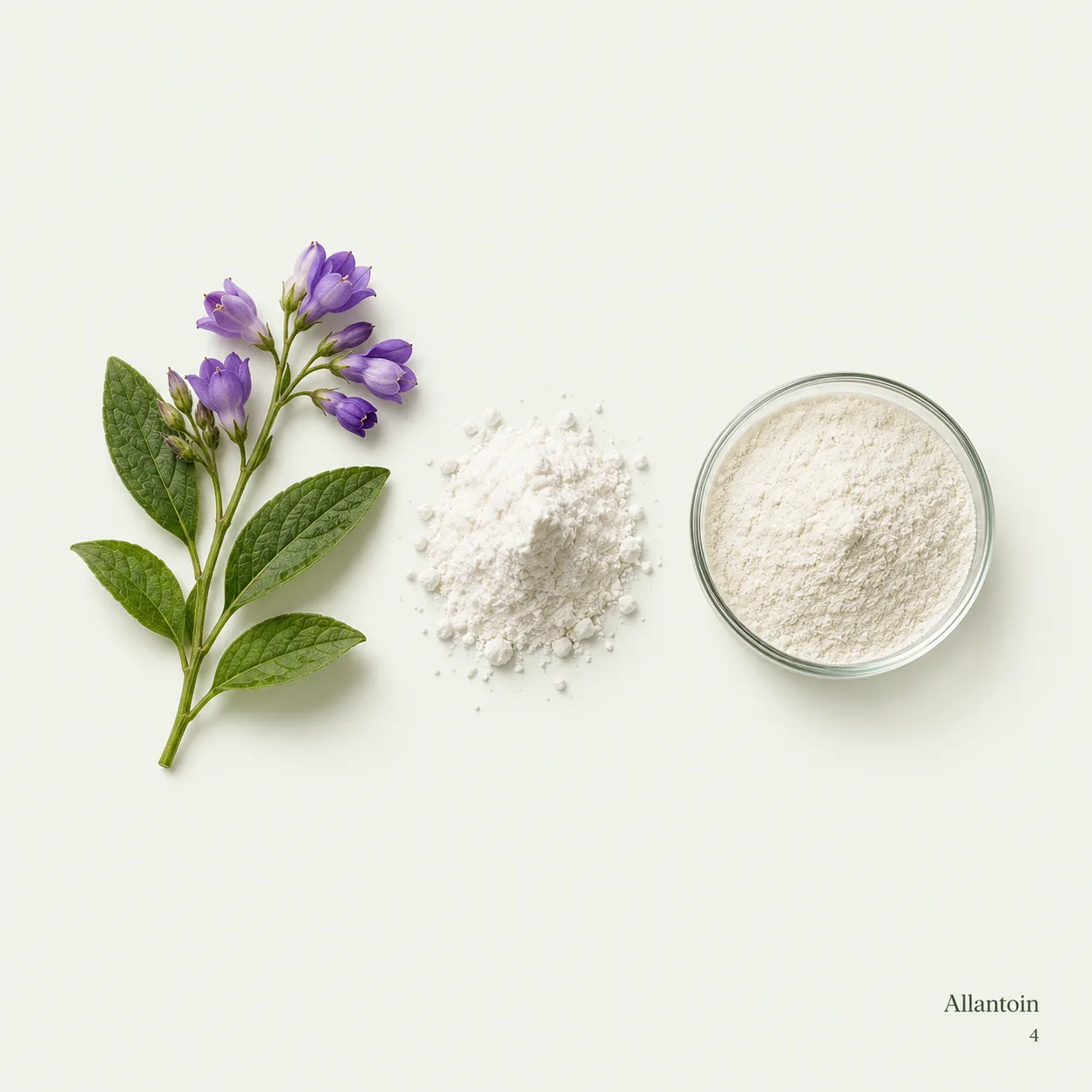 Allantoin — ingredient