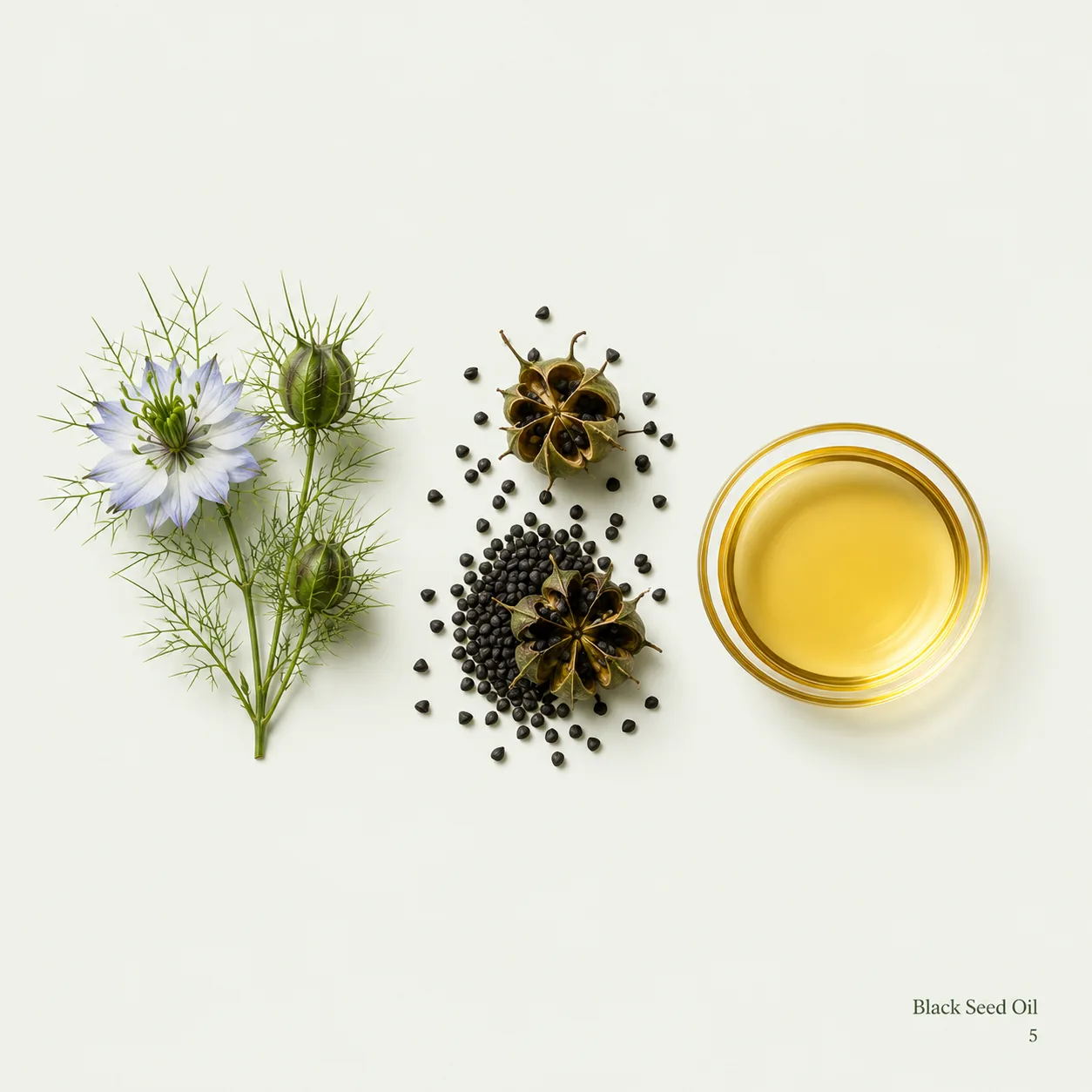 Black Seed Oil — ingredient