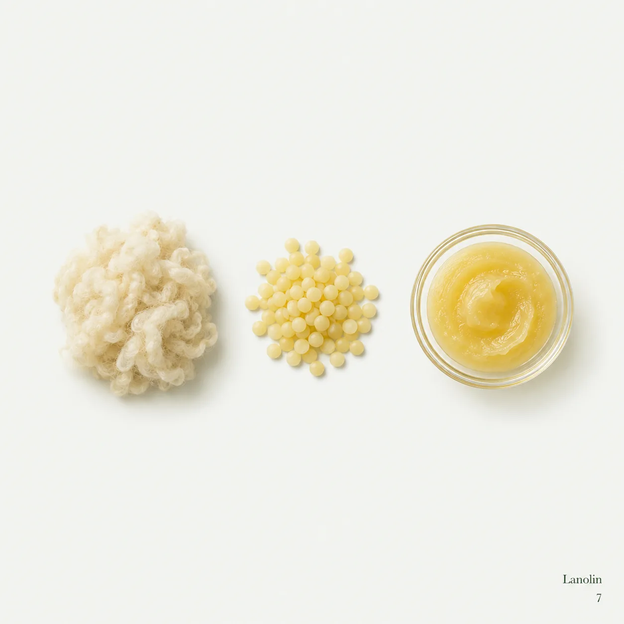 Lanolin — ingredient