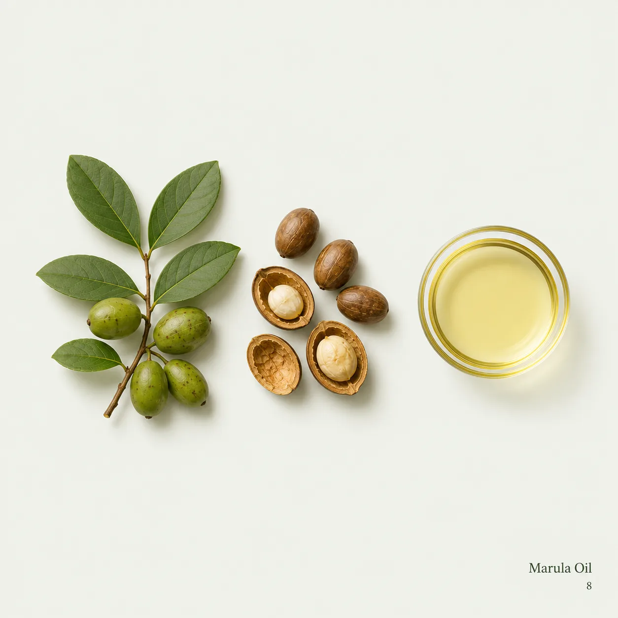 Marula Oil — ingredient
