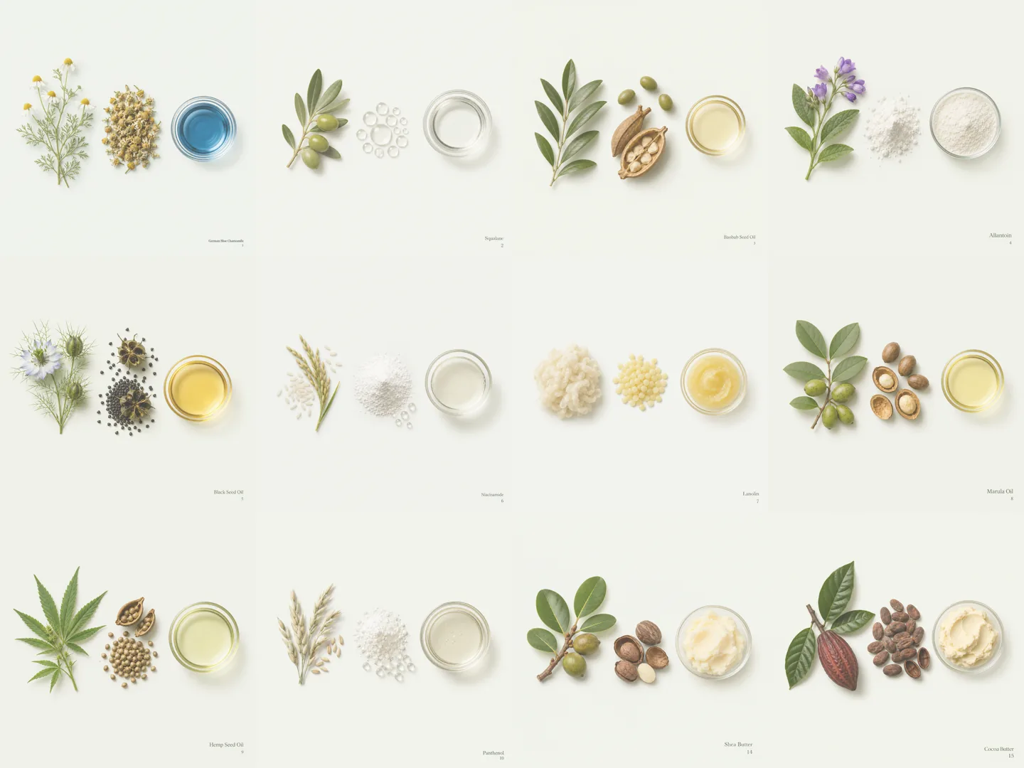 Botanical oils, butters and skincare ingredients arranged on a warm neutral surface
